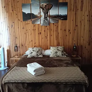 Tenerife Dreams Coffee&bed Hostal